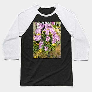 orchid Baseball T-Shirt